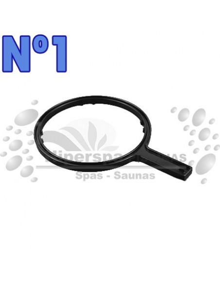 Repuestos Bomba Victoria Plus Astralpool