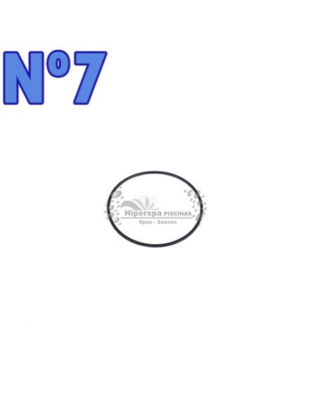 Repuestos Bomba Victoria Plus Astralpool Repuestos Bomba Victoria Plus Astralpool