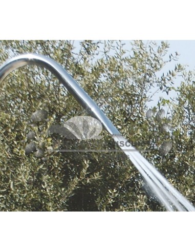 Cañón Tahiti para piscina