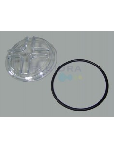 Repuestos Bomba Victoria Plus Astralpool 2