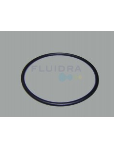Repuestos Bomba Victoria Plus Astralpool 2