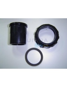 Repuestos Bomba Victoria Plus Astralpool 2