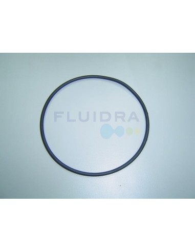 Junta tórica Ø118 x 4" Bomba Sena Astralpool