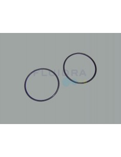 Repuestos Bomba Victoria Plus Astralpool 2